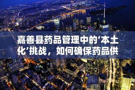 嘉善县药品管理中的‘本土化’挑战，如何确保药品供应的精准与安全？