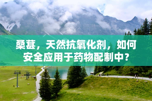 桑葚，天然抗氧化剂，如何安全应用于药物配制中？