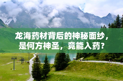 龙海药材背后的神秘面纱，是何方神圣，竟能入药？