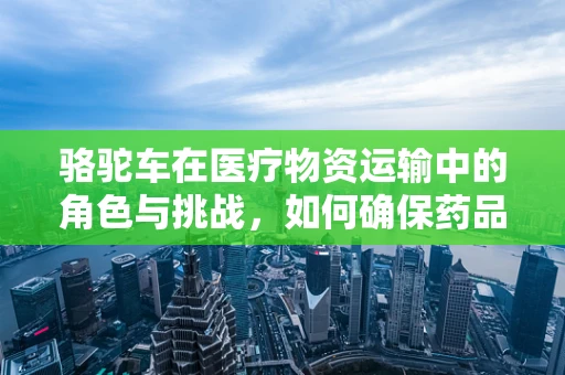 骆驼车在医疗物资运输中的角色与挑战，如何确保药品安全送达？