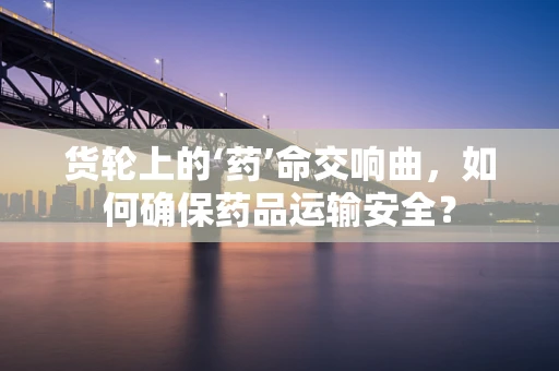 货轮上的‘药’命交响曲，如何确保药品运输安全？