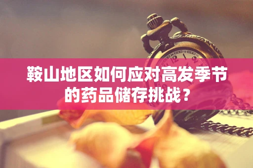 鞍山地区如何应对高发季节的药品储存挑战？