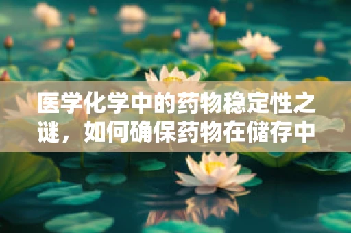 医学化学中的药物稳定性之谜，如何确保药物在储存中的安全有效？