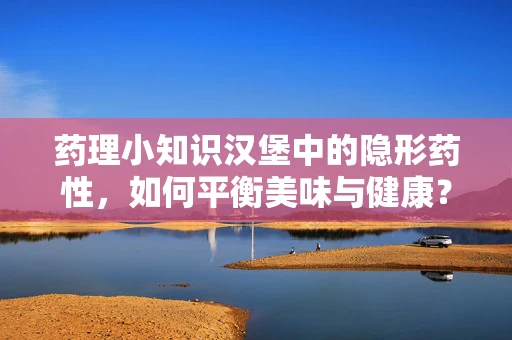 药理小知识汉堡中的隐形药性，如何平衡美味与健康？