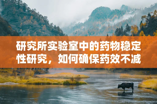 研究所实验室中的药物稳定性研究，如何确保药效不减？