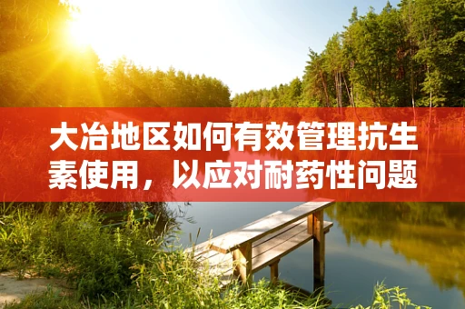 大冶地区如何有效管理抗生素使用，以应对耐药性问题？