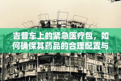 吉普车上的紧急医疗包，如何确保其药品的合理配置与高效使用？