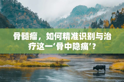 骨髓瘤，如何精准识别与治疗这一‘骨中隐痛’？