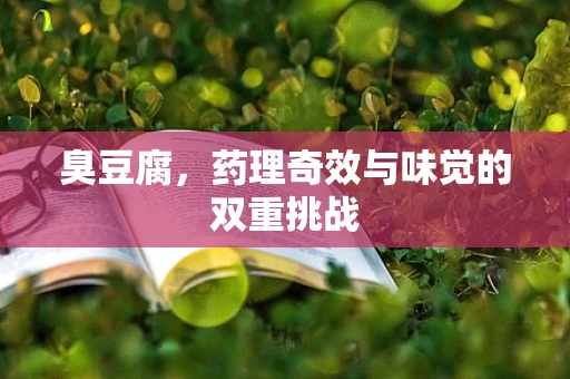 臭豆腐，药理奇效与味觉的双重挑战