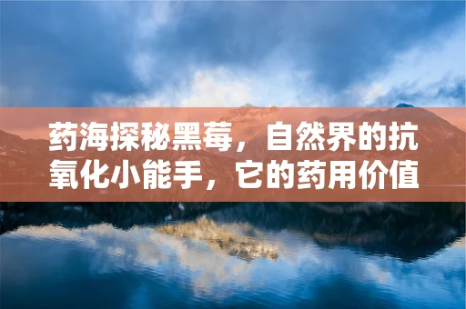 药海探秘黑莓，自然界的抗氧化小能手，它的药用价值你了解多少？