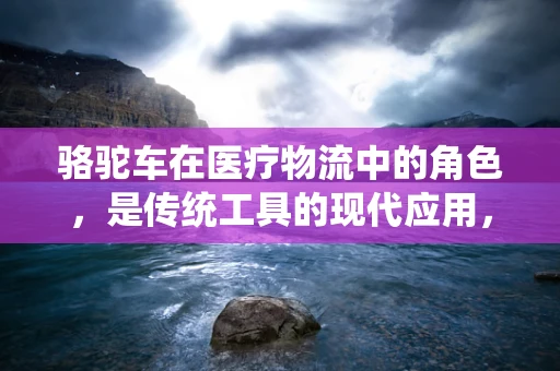 骆驼车在医疗物流中的角色，是传统工具的现代应用，还是创新挑战的代名词？