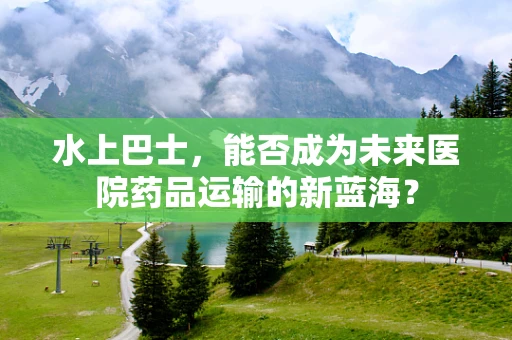 水上巴士，能否成为未来医院药品运输的新蓝海？