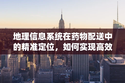 地理信息系统在药物配送中的精准定位，如何实现高效与安全？
