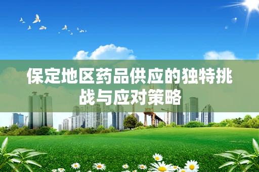 保定地区药品供应的独特挑战与应对策略