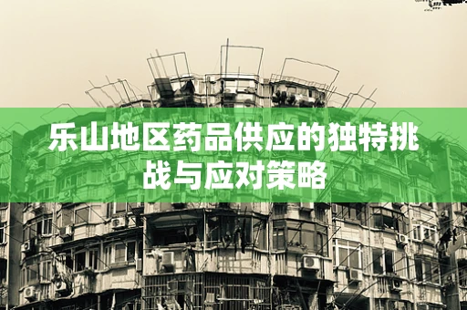 乐山地区药品供应的独特挑战与应对策略