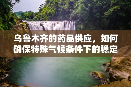 乌鲁木齐的药品供应，如何确保特殊气候条件下的稳定与安全？