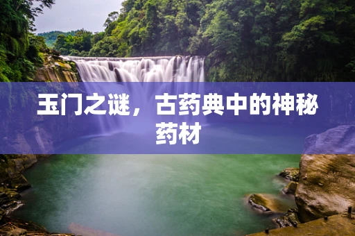 玉门之谜，古药典中的神秘药材