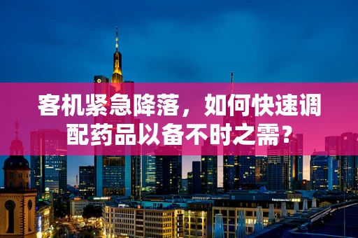 客机紧急降落，如何快速调配药品以备不时之需？