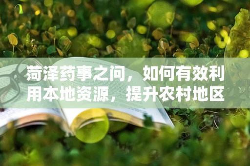 菏泽药事之问，如何有效利用本地资源，提升农村地区药品可及性？