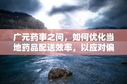 广元药事之问，如何优化当地药品配送效率，以应对偏远地区医疗需求？
