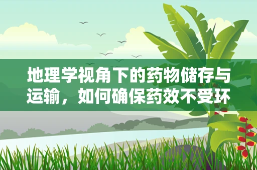 地理学视角下的药物储存与运输，如何确保药效不受环境影响？