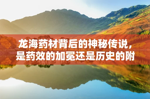 龙海药材背后的神秘传说，是药效的加冕还是历史的附会？