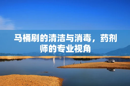 马桶刷的清洁与消毒，药剂师的专业视角