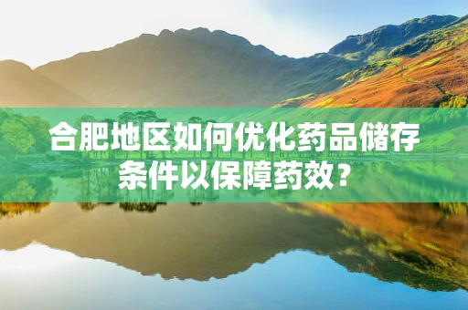 合肥地区如何优化药品储存条件以保障药效？