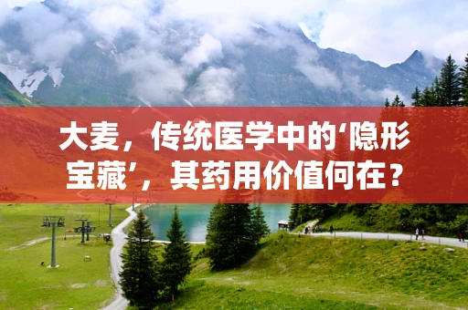 大麦，传统医学中的‘隐形宝藏’，其药用价值何在？