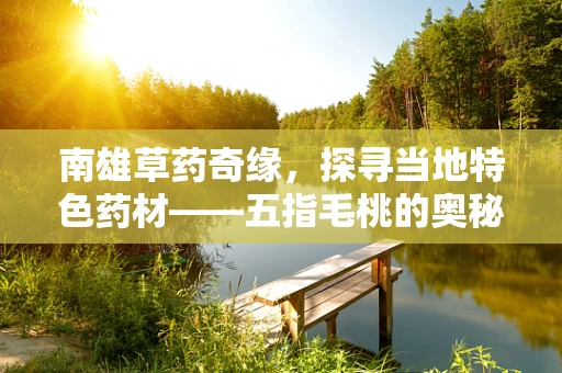 南雄草药奇缘，探寻当地特色药材——五指毛桃的奥秘
