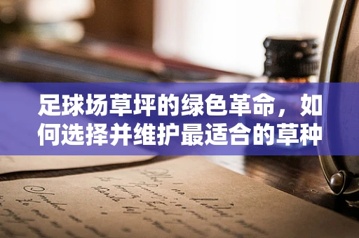 足球场草坪的绿色革命，如何选择并维护最适合的草种？