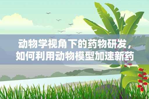 动物学视角下的药物研发，如何利用动物模型加速新药发现？