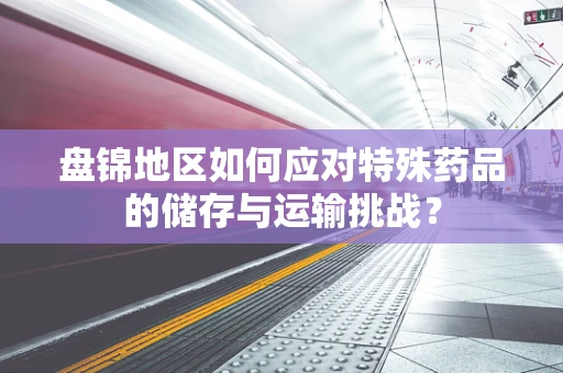 盘锦地区如何应对特殊药品的储存与运输挑战？