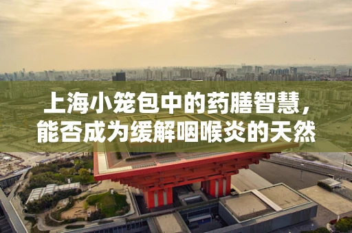 上海小笼包中的药膳智慧，能否成为缓解咽喉炎的天然良方？