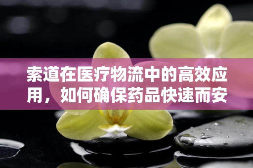 索道在医疗物流中的高效应用，如何确保药品快速而安全送达？