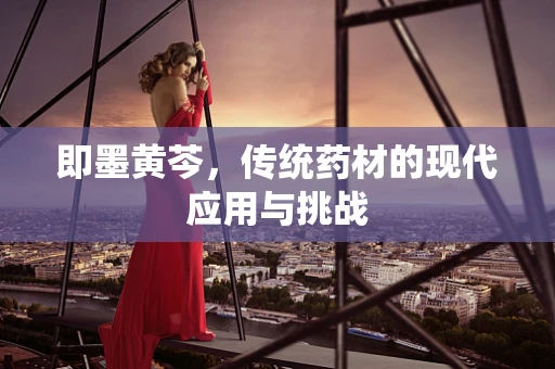即墨黄芩，传统药材的现代应用与挑战