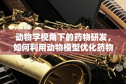 动物学视角下的药物研发，如何利用动物模型优化药物疗效？