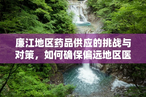 廉江地区药品供应的挑战与对策，如何确保偏远地区医疗资源的均衡？