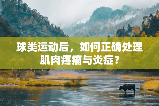 球类运动后，如何正确处理肌肉疼痛与炎症？