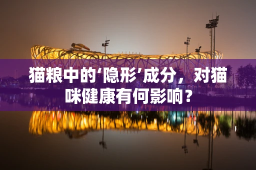猫粮中的‘隐形’成分，对猫咪健康有何影响？