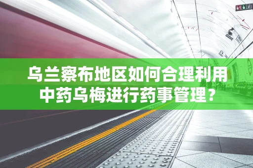 乌兰察布地区如何合理利用中药乌梅进行药事管理？