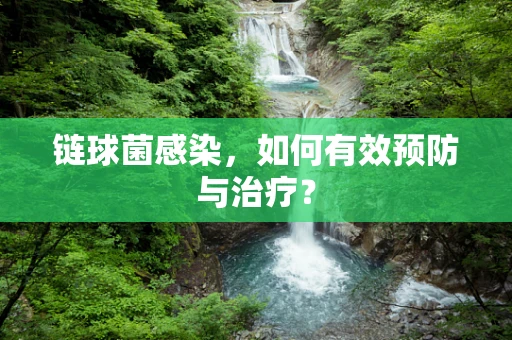 链球菌感染，如何有效预防与治疗？