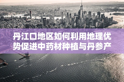 丹江口地区如何利用地理优势促进中药材种植与丹参产业发展？