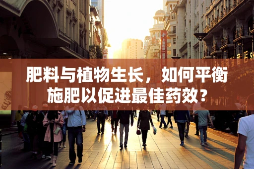 肥料与植物生长，如何平衡施肥以促进最佳药效？