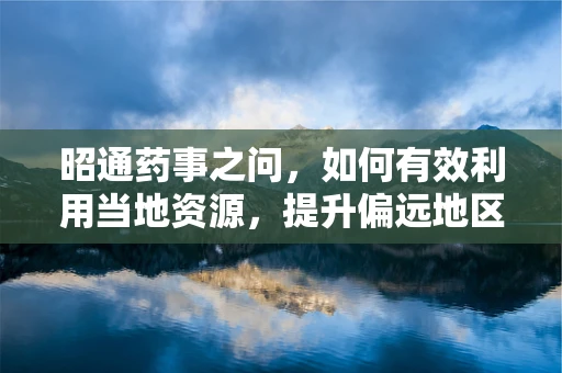 昭通药事之问，如何有效利用当地资源，提升偏远地区药品供应效率？