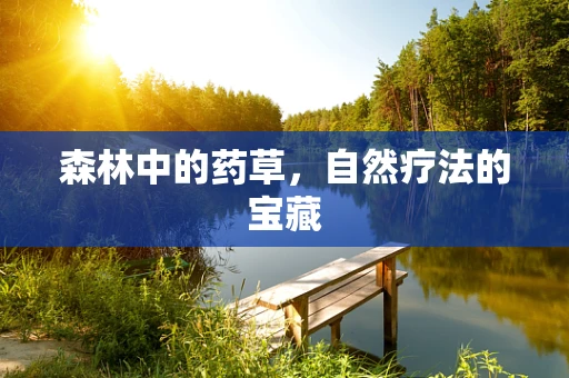 森林中的药草，自然疗法的宝藏