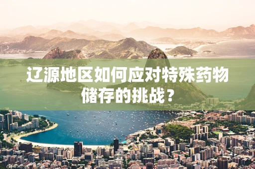 辽源地区如何应对特殊药物储存的挑战？