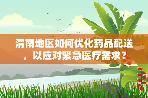 渭南地区如何优化药品配送，以应对紧急医疗需求？
