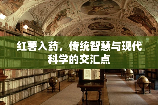 红薯入药，传统智慧与现代科学的交汇点