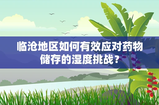 临沧地区如何有效应对药物储存的湿度挑战？